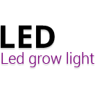 Led light